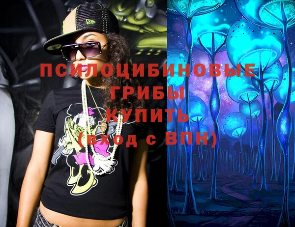 шишки Вяземский