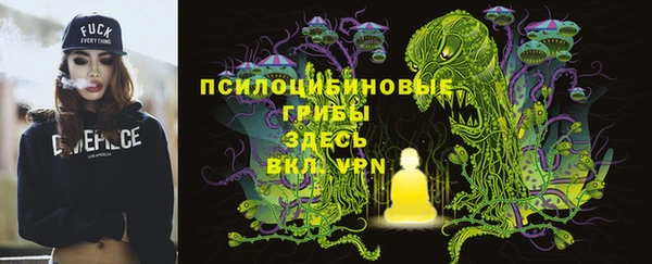 ПСИЛОЦИБИНОВЫЕ ГРИБЫ Сосновый Бор