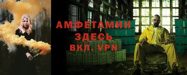 сатива Володарск