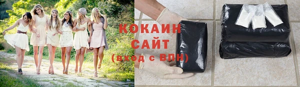 ПСИЛОЦИБИНОВЫЕ ГРИБЫ Сосновый Бор